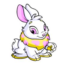 neopets colors|cybunny colors neopets.